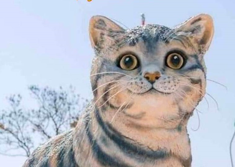Chúc mừng xuân Quý Mão (2023)